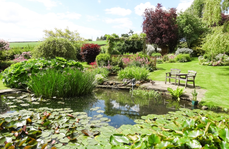 Yorke House & White Rose Cottage